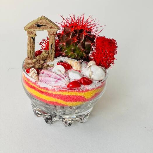 Red cactus in a transparent pot with Roman columns