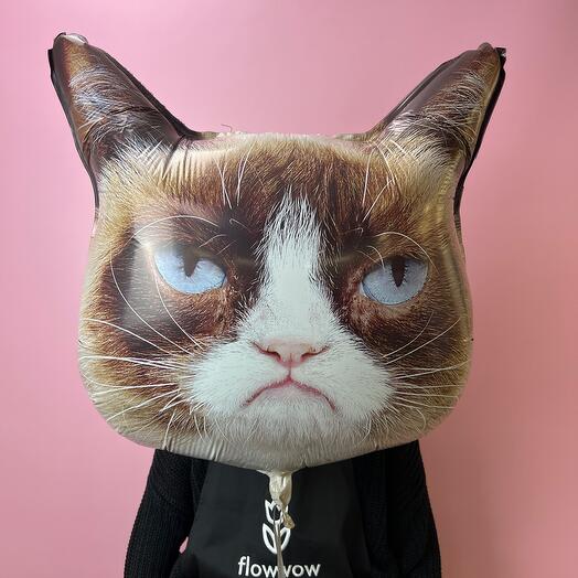 Кошечка сердитая
