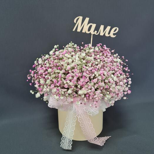 Aerial Gypsophila To Mom