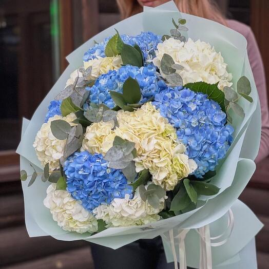Gartensia mix
