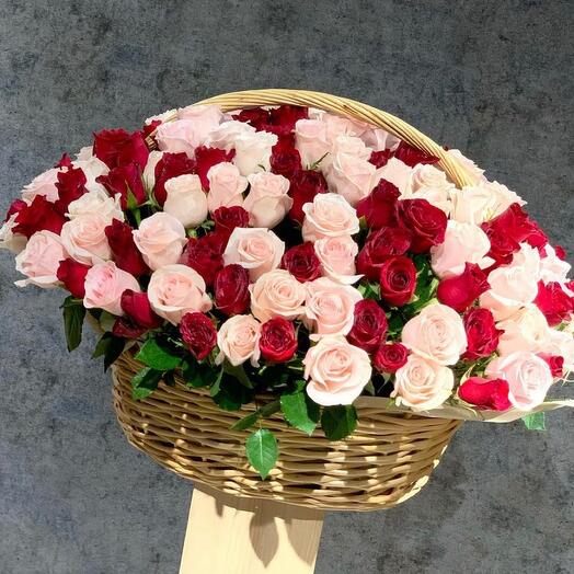 Lady Rose