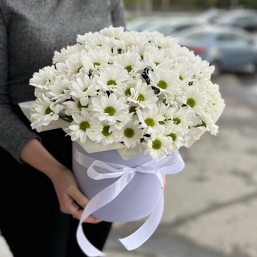 Большая коробка с ромашками