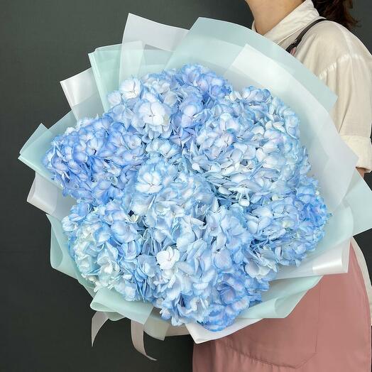 Bouquet of blue Hydrangeas (7 PCs)
