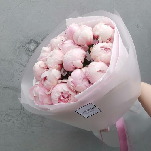 15 peonías Rosadas