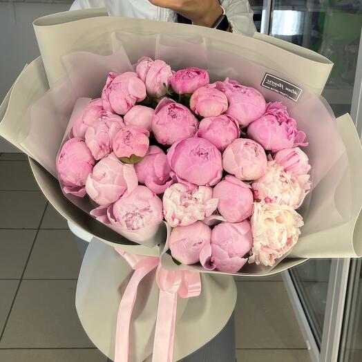 Пионы Сара Бернар🌸