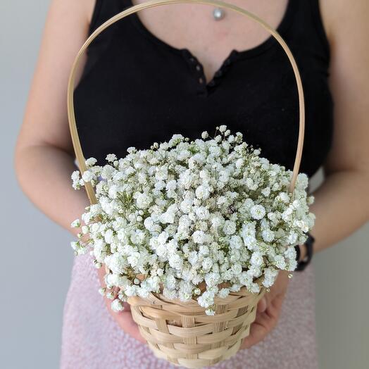 Cesta de gypsophila