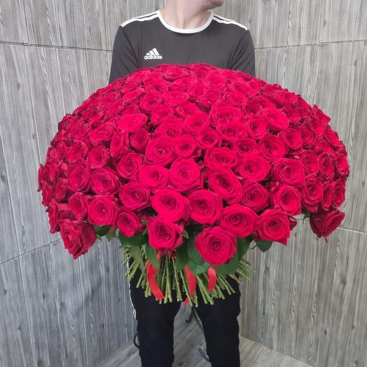 201 red rose