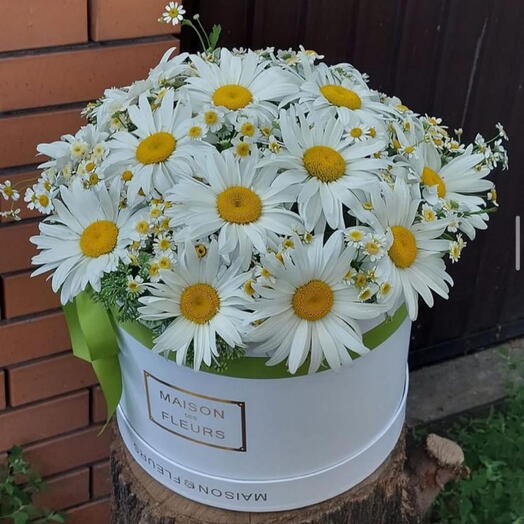 Ромашки в коробке