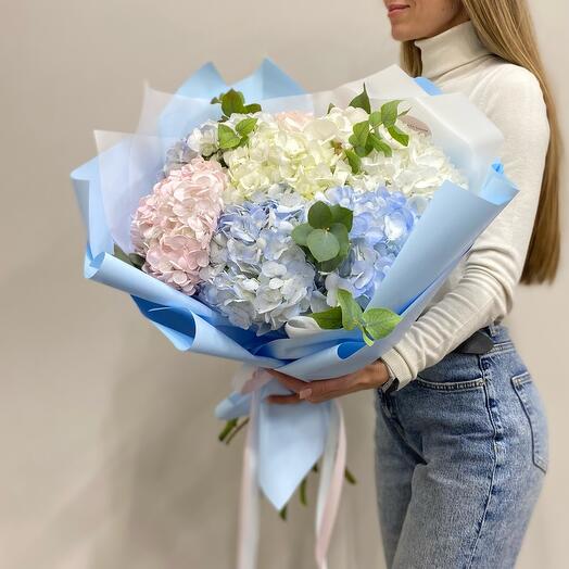 An Armful of Hydrangeas "Tenderness"