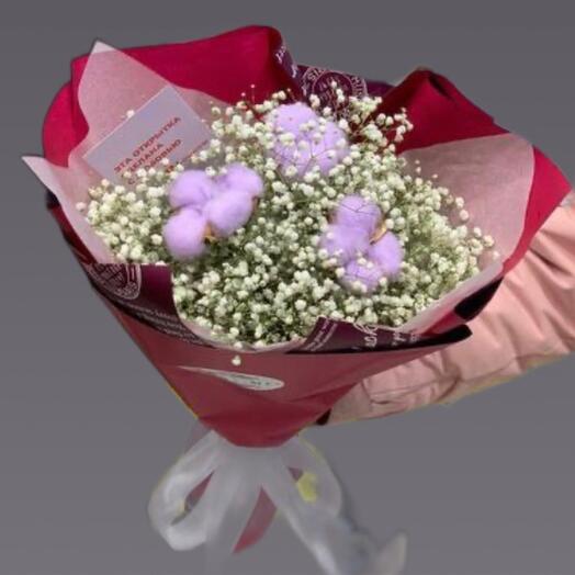 Ramo de gypsophila con algodón