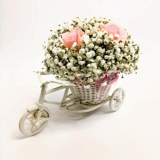 Gypsophila with a soap rose in a planter bicycle