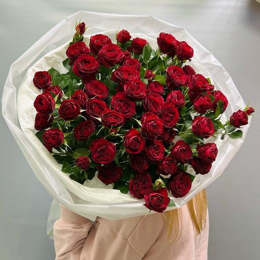 Пионовидные красные кустовые розы