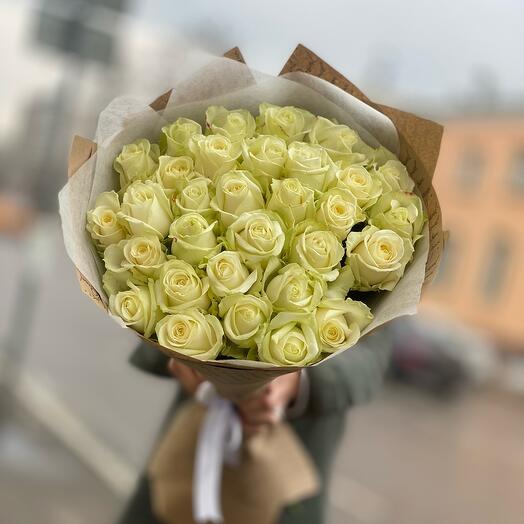 31 rosa blanca