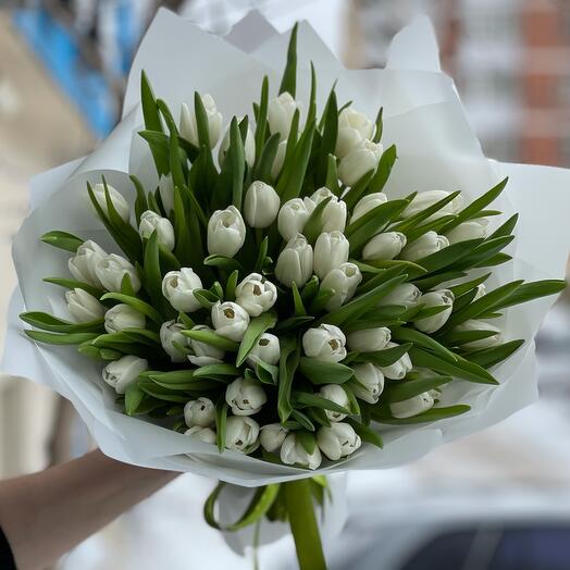 Тюльпаны 51 шт