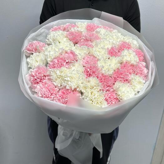 Delicate carnation