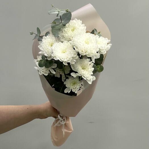 Chrysanthemum snow