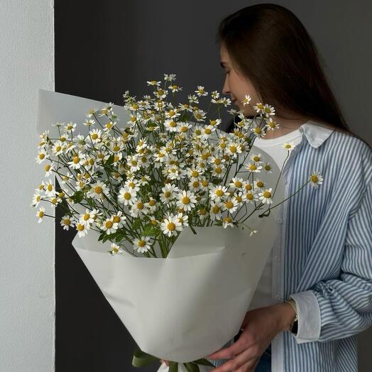 Букет голландских ромашек