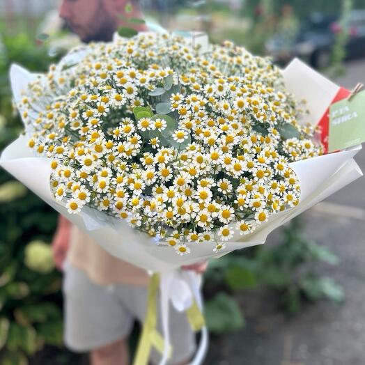 Букет из ромашек и эвкалипта