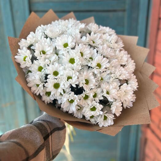 Букет из ромашек (кустовых хризантем) 15 шт