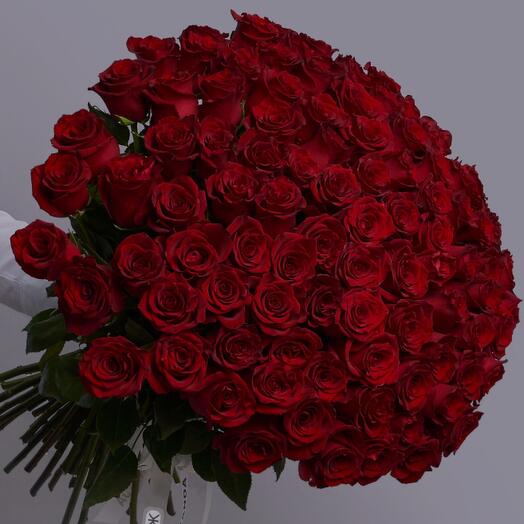 Розы 151