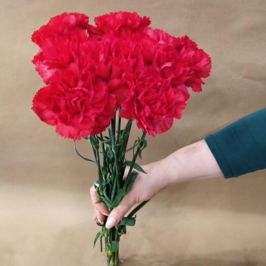 Гвоздика красная 10 шт