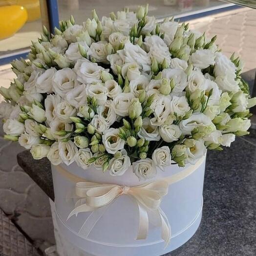 White lisianthus in box