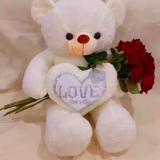 A fluffy teddy bear and 10 red roses