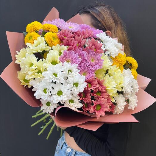 Chrysanthemum mix🌸