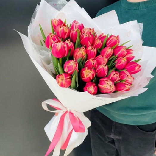 Tulipa peônia 25 un