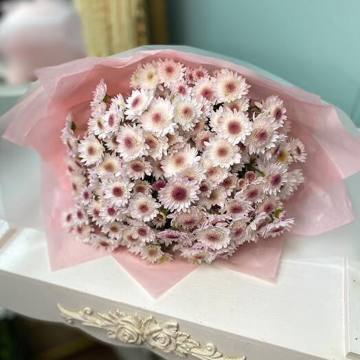 Моно из кустовых ароматных хризантем