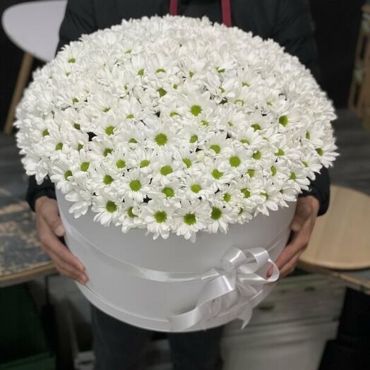 Цветы в коробке ромашки