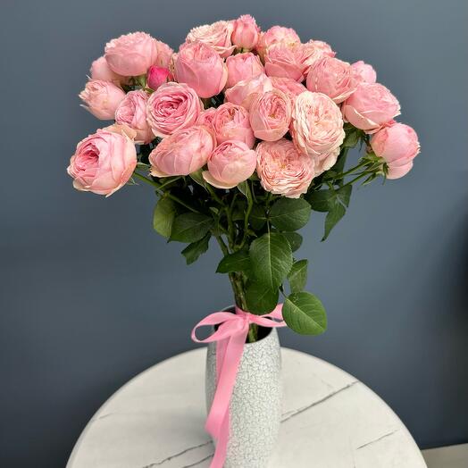 Роза кустовая Mansfield Park Pink