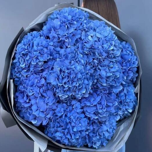 Bouquet of blue hydrangeas