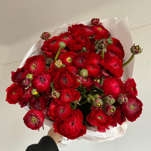 Ranunculus red 37 stems