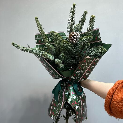 Нобилис в новогоднем оформлении