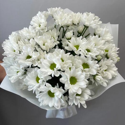 Monobucket of 5 Chrysanthemums