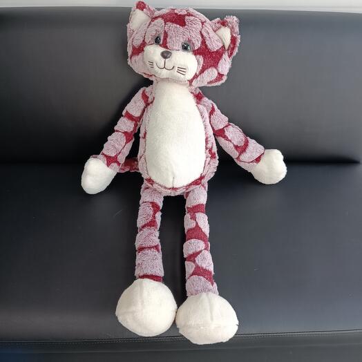 Кот