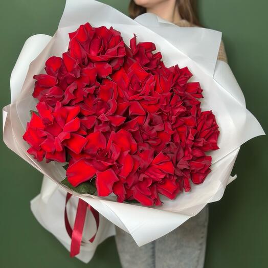 Rosas francesas rojas 13 piezas en un paquete blanco