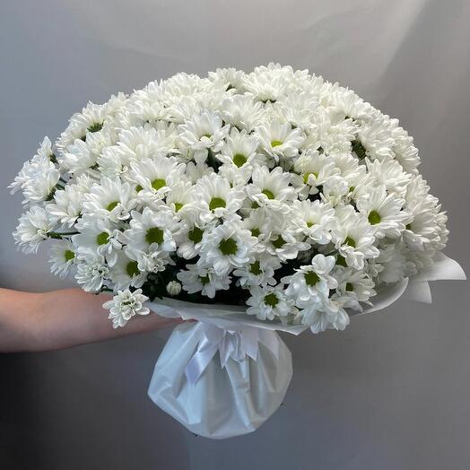 МоноБукет из 21 Хризантем