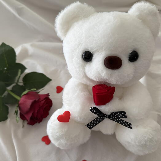 White bear + 1 red rose