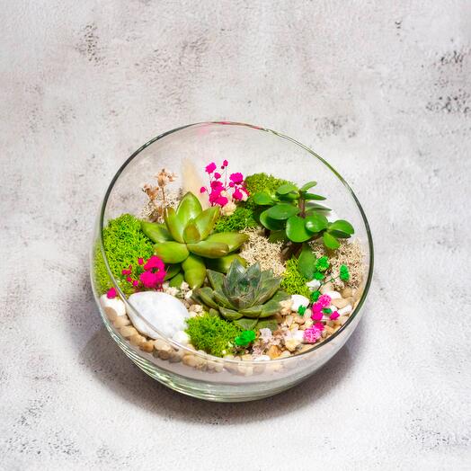 Флорариум S Розовый сад