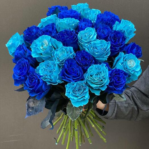 31 rose blu