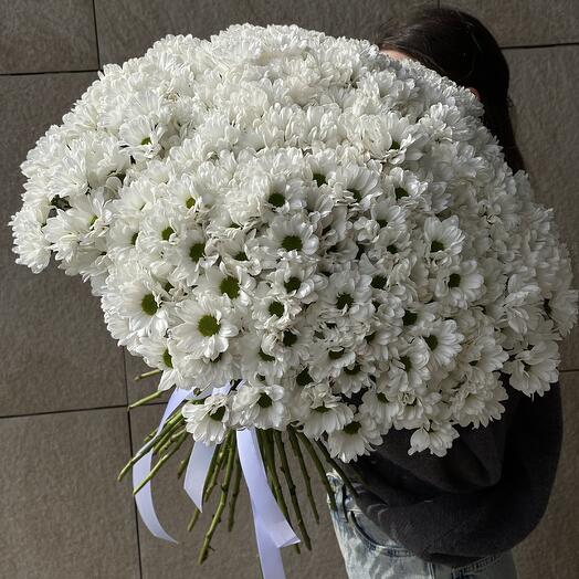 Букет из 35 ромашковых хризантем