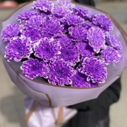 Букет из фиолетовых кустовых хризвнтем