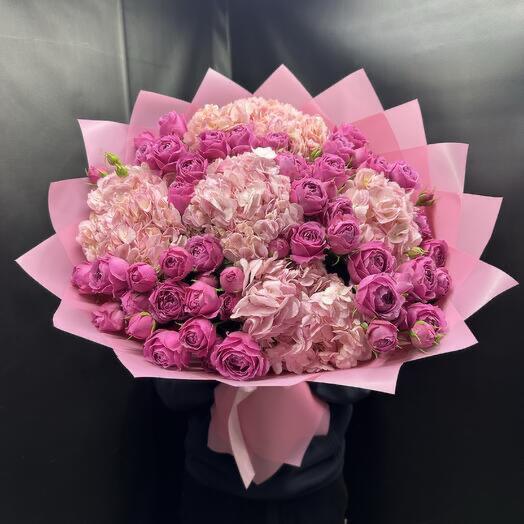 Hydrangea