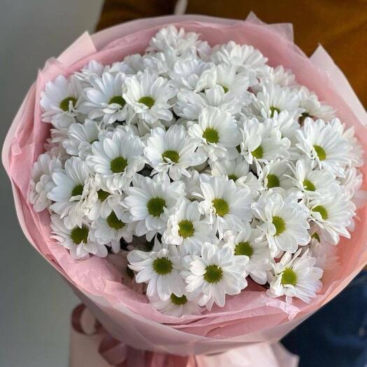 Утренняя песня