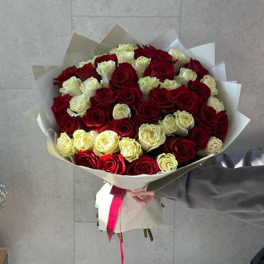 51 роза красно белая 🌷