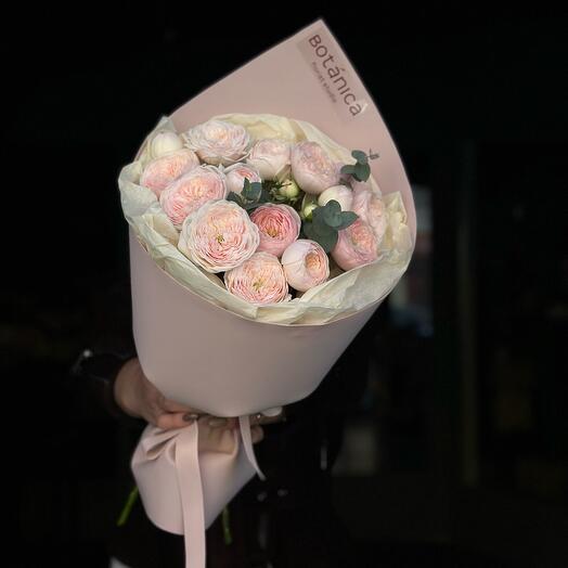 Elegant Pink (S)