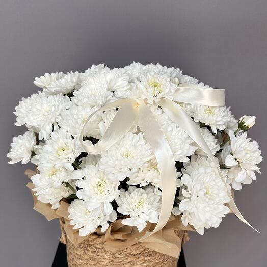 Кашпо хризантем M размер