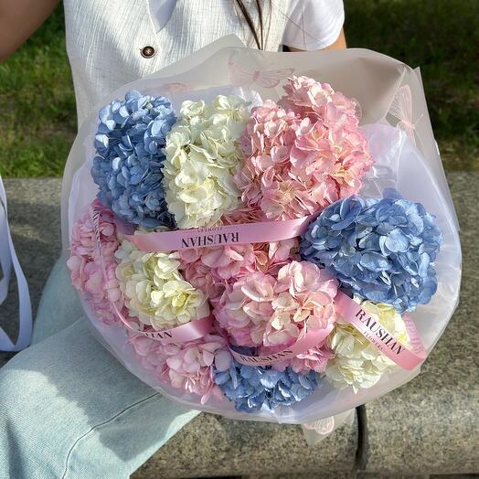 Вау Гортензии